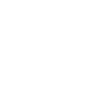 brain icon