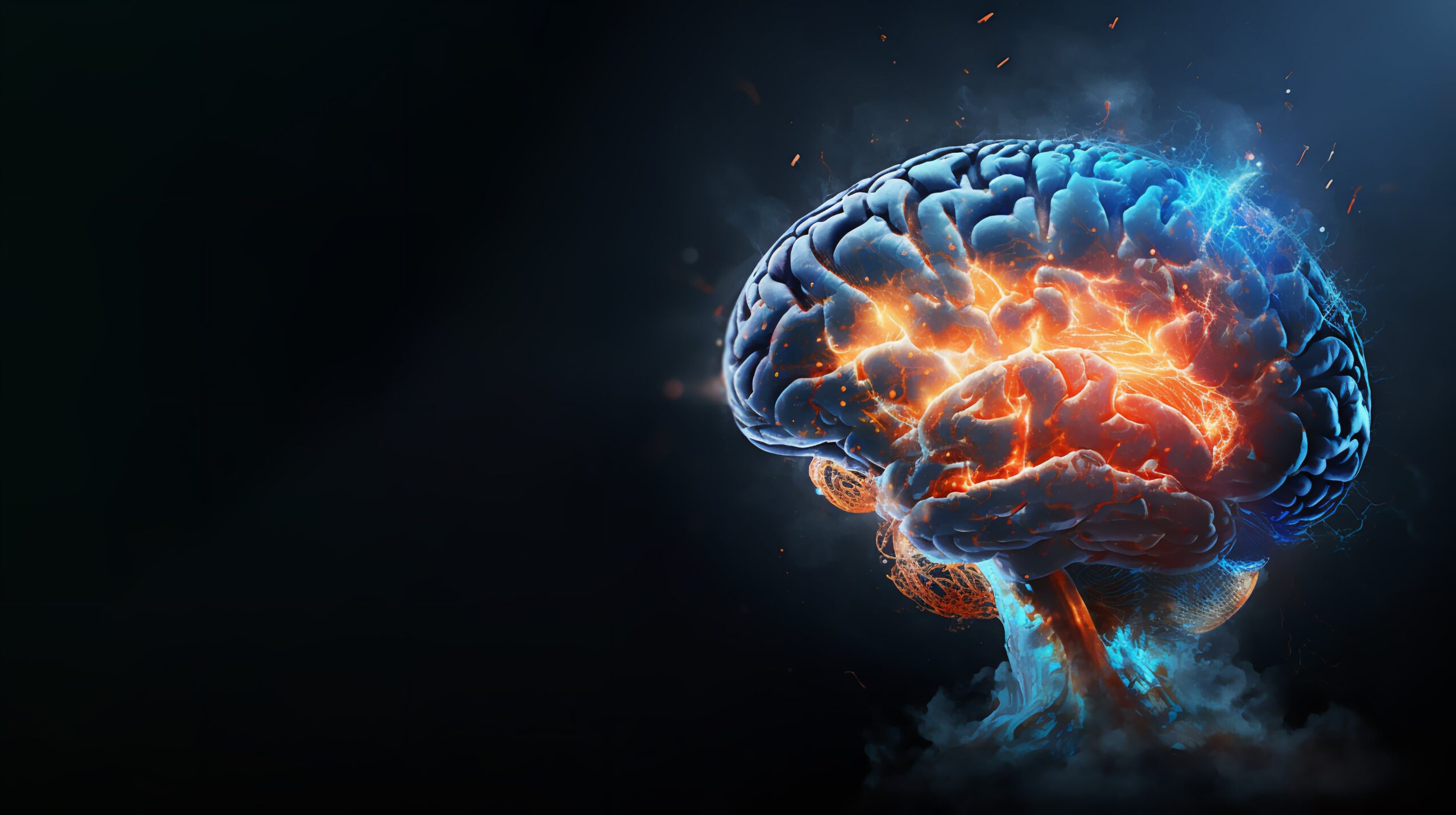 schizophrenia brain schizophrenia brain