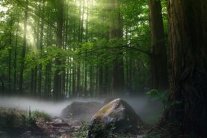 finding the best mental health rehab georgia